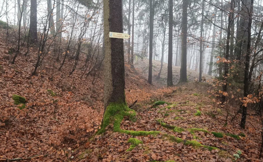Burgstall auf dem Schlosshügel, Germany
